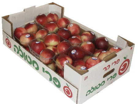 ארגז נקטרינות