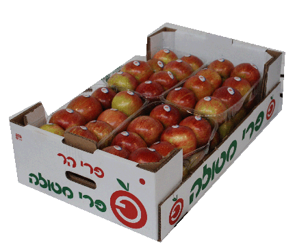 ארגז תפוחים02